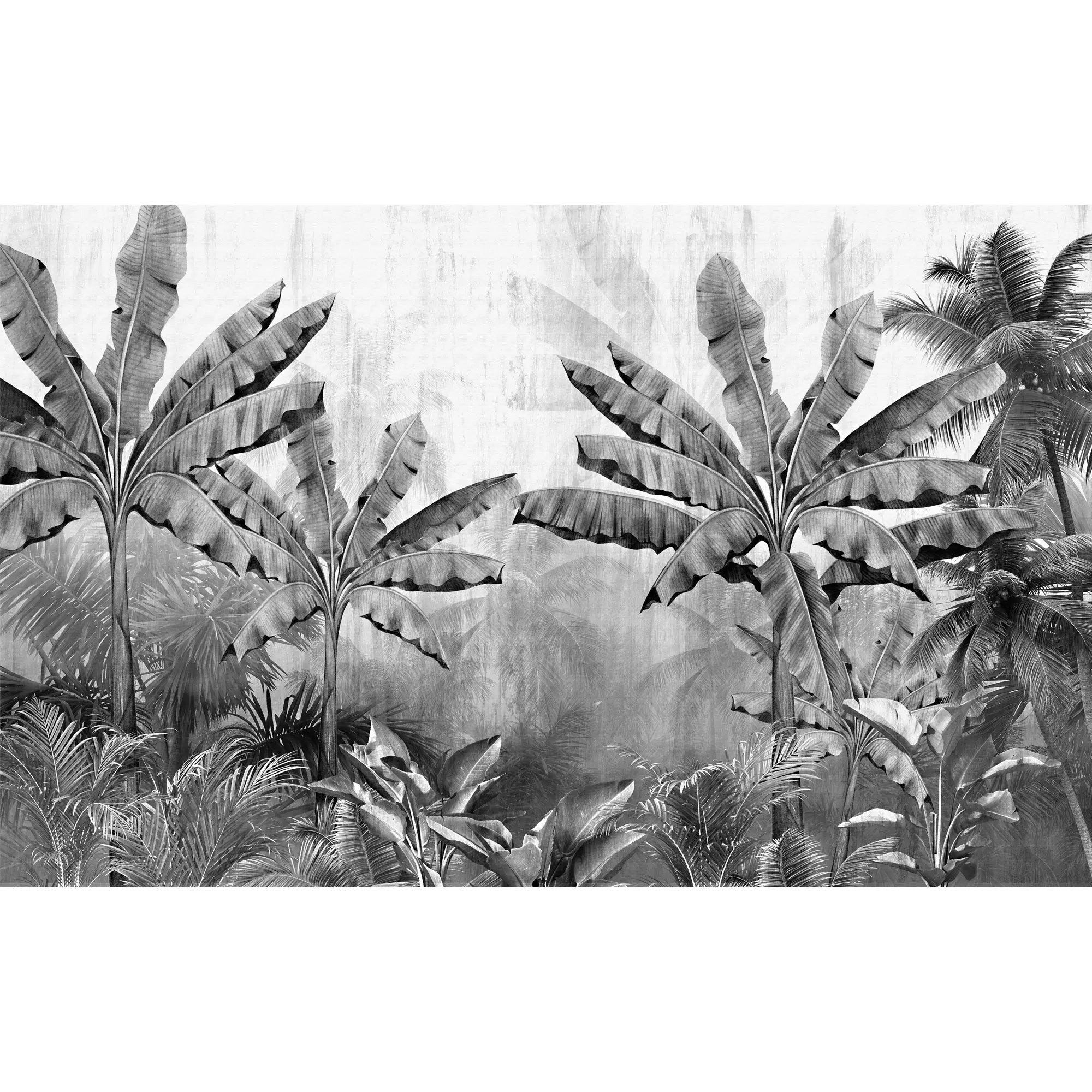 3248 / Monochrome Tropical Paradise Wallpaper, Exotic Jungle Mural, Chic Black and White Palm Design, Statement Wall Decor - Artevella